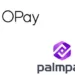 ‘Opay, Palmpay, Others Processed N46.6 trn Transactions In 2023’