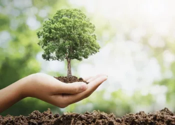 Sahara Group Plants 2,000 Trees Per Annum To Curb Climate Change