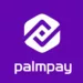 PalmPay Updates App. Secures 30m Customers Against Fraudsters