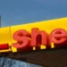 Shell Profits Plunge 54% As Oil Boom Fizzles, Greenpeace Protests