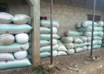 Customs Intercepts Sacks Of Beans For Illegal Export To Benin Republic