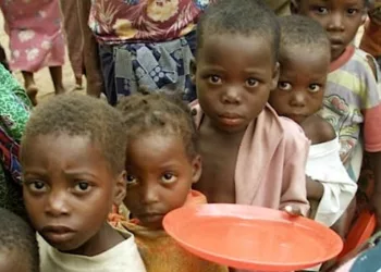  ‘31.5m  Nigerians At Risk Of Food Insecurity By August 2024’
