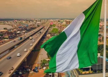 ‘Nigeria Can Generate $13.1m From Fish Reef, Others To Boost GDP’