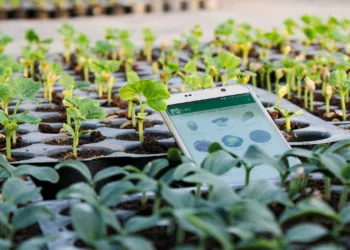 Olowolafe Launches N1bn Agro-Tech Fund For Ekiti Varsity Graduates