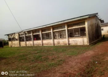 Why The National Association of Seadogs Want Attention On Rehabilitation Centers