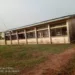 Why The National Association of Seadogs Want Attention On Rehabilitation Centers