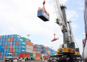 CPPE Urges CBN To Stabilise Exchange Rate, Fix Customs Duty