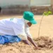 Reflecting On The United Nations’ International Day Of Plant Health In Nigeria