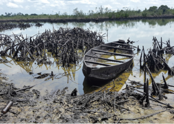 Assessing Oil Bearing Communities’ Woes And NDDC Intervention Initiatives