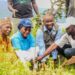 50,000 Trees: First Bank, NCF Extend Tree Planting To FCT