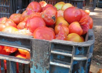 Addressing Food Waste In Nigeria