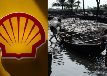 Nigerian Communities Sue Shell To Block Asset Sale