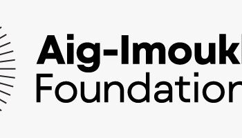 Aig-Imoukhuede Foundation Commits To Improve Quality Primary Healthcare Delivery