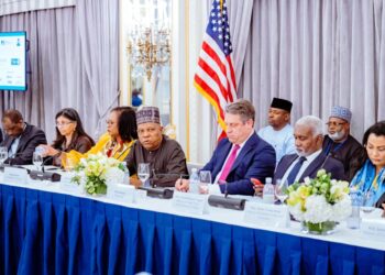 79th UNGA: US Chamber Of Commerce Commits $320m For Mortgages, SMEs In Nigeria