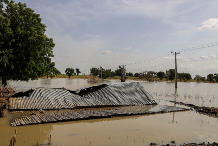 Maiduguri flood: Situation still terrible — SEMA