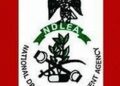 NDLEA Removes Husband Approval Requirement for Visa Applications