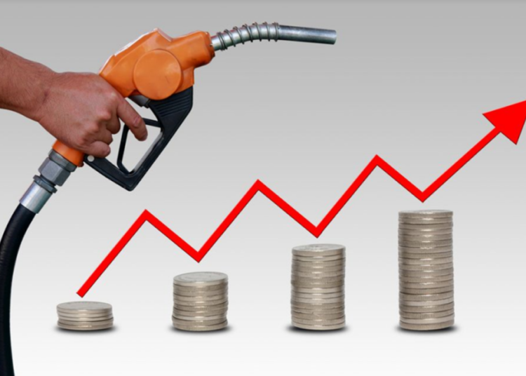 Policy,Fuel Subsidy