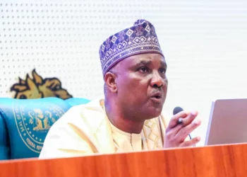 Nigerians Still Struggling With Electricity Despite Investments In Renewable Energy – Abbas