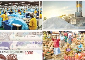 Nigeria Poised For Economic Recovery In 2025 – NE Board Of  Economists