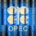 OPEC+ Oil Output Cut To Extend Through Q1 2025