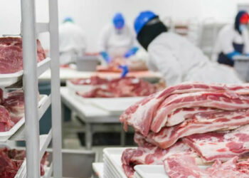 Nigeria’s Beef Industry: Unlocking Potential Amid Challenges