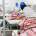 Nigeria’s Beef Industry: Unlocking Potential Amid Challenges