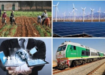 Agriculture, IT, Renewable Energy, Others To Shape Nigeria In 2025