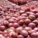 How Climate Change Drives Onion Prices Above 107% In 2024