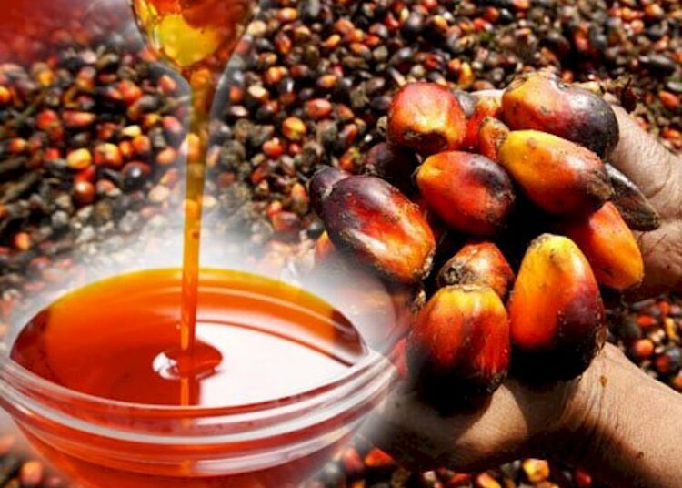 Palm Oil