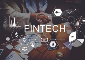 Hyena Playbook: How Forming Alliance Might Strengthen Fintech Ecosystem