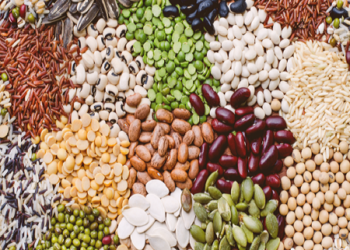 Settling Corporate Power Over Nigeria’s Seed Markets