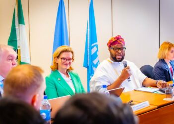 FG, ITU, Telcos Push Investment In New Submarine Cables