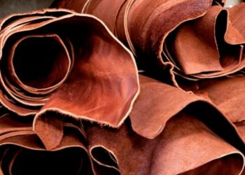 Unlocking Nigeria’s Leather Potential For Economic Growth