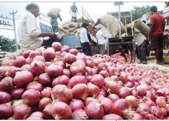 RMRDC, BoI To Boost Nigeria’s Onion Value Chain Development
