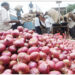 RMRDC, BoI To Boost Nigeria’s Onion Value Chain Development