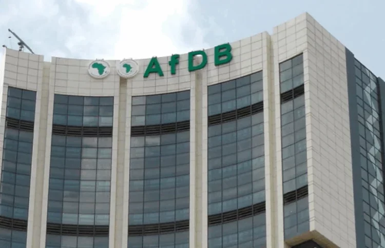 Nigeria Loses $8.8bn Annually To Informal Economy - AfDB