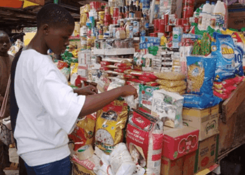 Enabling  Nano And Micro Businesses In Africa