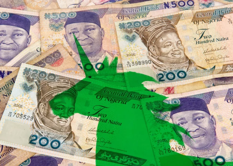 5 Unicorns In 9 Years,Who Does That?