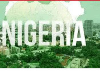 Why Nigeria Must Rein In Non-state Economic Actors
