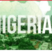 Why Nigeria Must Rein In Non-state Economic Actors