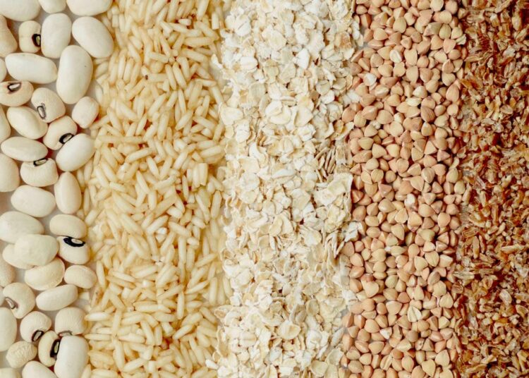 loan,FG Secures $134m AfDB Loan To Boost Seed