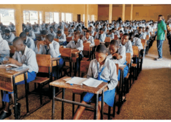 Revitalising Nigeria’s Public Institutions For National Development
