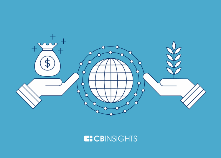 Who Is The Cheat That Got Venture Capitalists’ Millions?