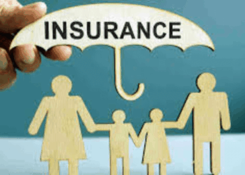 Insurers Battle NASS Over Legality Of Oversight Function In Insurance Business