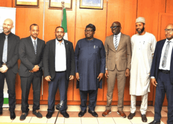 IDB To Develop First-ever Power Sector Framework For Nigeria