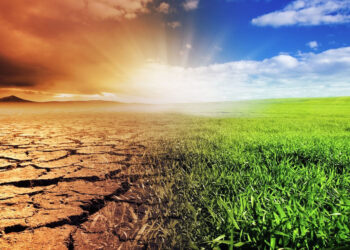 How Climate Change Is Affecting Food Safety