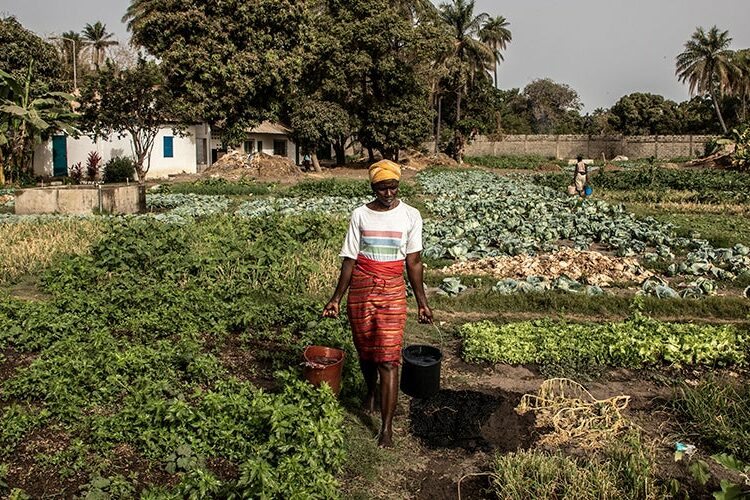 Call To Action For Nigeria’s Rural Transformation