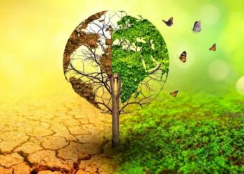 Nigeria’s Climate Clock Is Ticking – And The Cost Of Inaction Is Rising