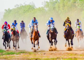 FG Okays Nigeria Equestrian Federation Operations