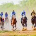 FG Okays Nigeria Equestrian Federation Operations